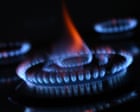 Labor urged to target gas exporters and bring in east coast reserve ‘right now’ as it weighs scheme’s design
