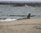 Nato jets shoot down drone violating Lithuania’s airspace