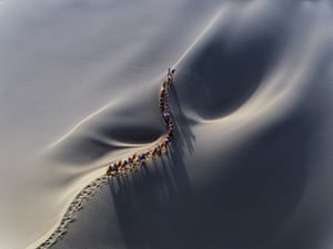 Camel caravan in the desert taken from a drone