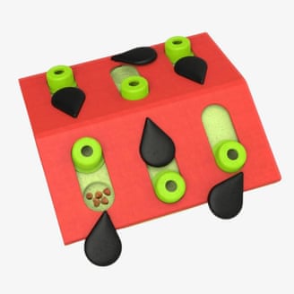 Your indoor cat is bored. Here are toys and tools to fix that | cats 1000