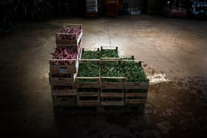 Boxes of pinto beans. Workers are required to produce 100 boxes a day.