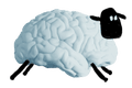 sheep made of brain