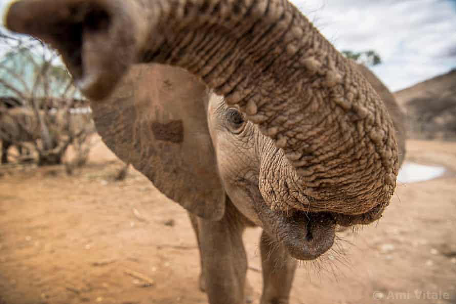 Reteti Elephant Sanctuary