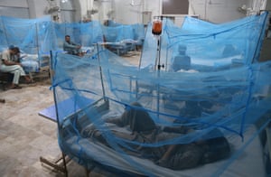 Karachi, Pakistan. Patients with dengue fever receive treatment in a hospital isolation ward. Health officials are reporting a continued increase in cases