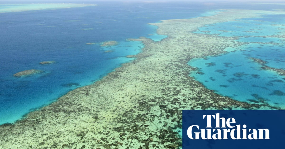 Almost half of cane growers sceptical of science behind laws protecting Great Barrier Reef | Great Barrier Reef