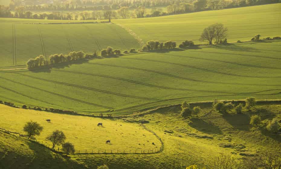 A view of rolling hills in Hampshire.