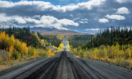 Tundra in the Canadian Arctic.