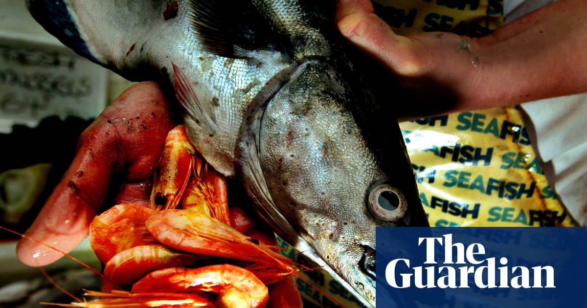 Our ignorance about fish is off the scale Our ignorance about fish is off the scale