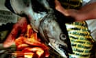 Garden hake and ‘poet’ John Dory: our ignorance about fish is off the scale Garden hake and ‘poet’ John Dory: our ignorance about fish is off the scale