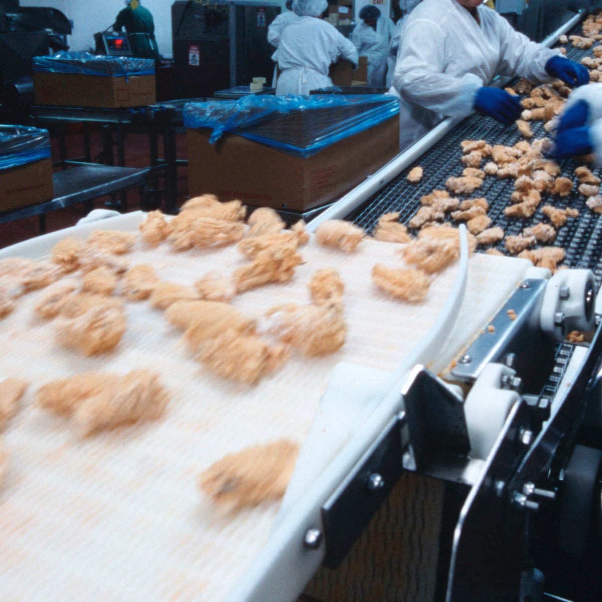 The Poultry Workers On The Coronavirus Front Line If One Of Us Gets Sick We All Get Sick Meat Industry The Guardian The Poultry Workers On The Coronavirus Front Line If One Of Us Gets Sick We All Get Sick Meat Industry The Guardian