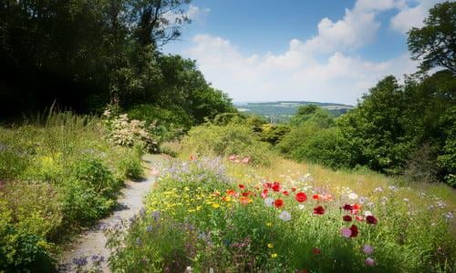 500.jpg?quality=85&auto=format&fit=max&s=8776db0fec8b6b2b56b85c68b9926022