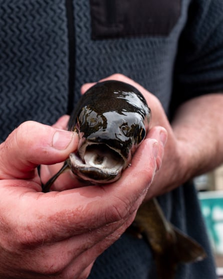 a person holding a fish a person holding a fish