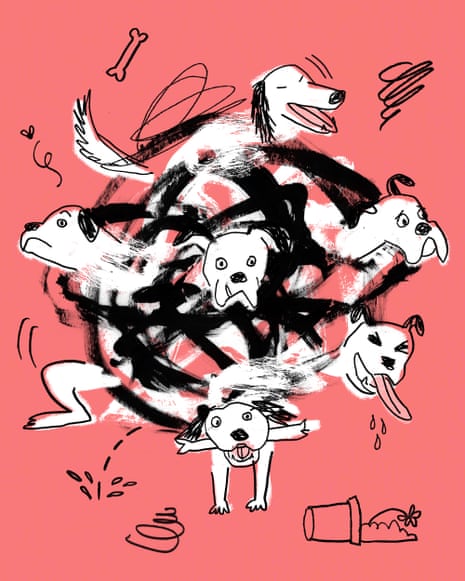 Illustration showing a dog in various stages of frenetic activity