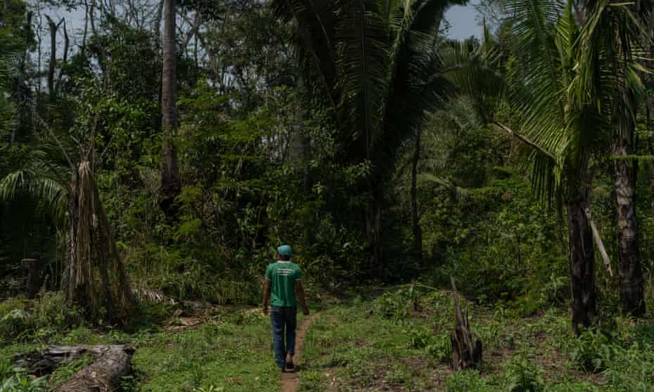 The Uru-Eu-Wau-Wau reserve in Rondônia state, Brazil. Indigenous activists say they are convinced attacks on their communities have intensified since Jair Bolsonaro became president.