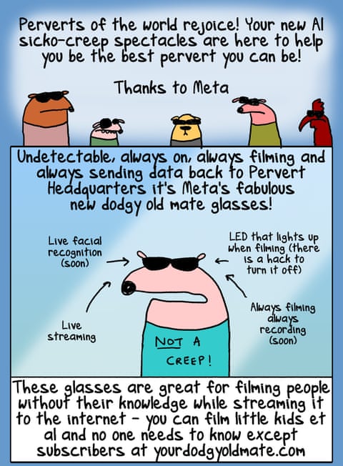 Meta Glasses, panel 1