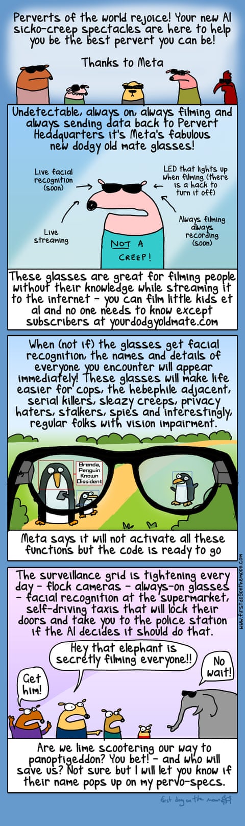 Meta Glasses, panel 1