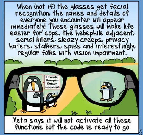 Meta Glasses, panel 2