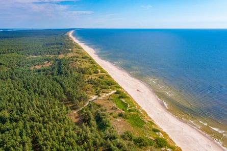 Aerial view of a beach with forest behind