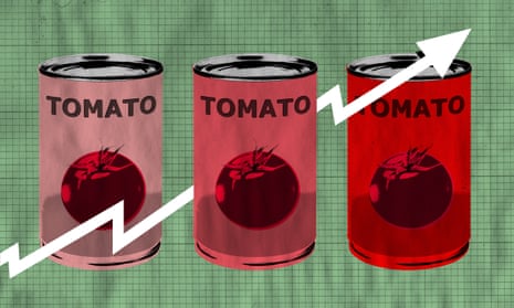 tinned tomato graphic
