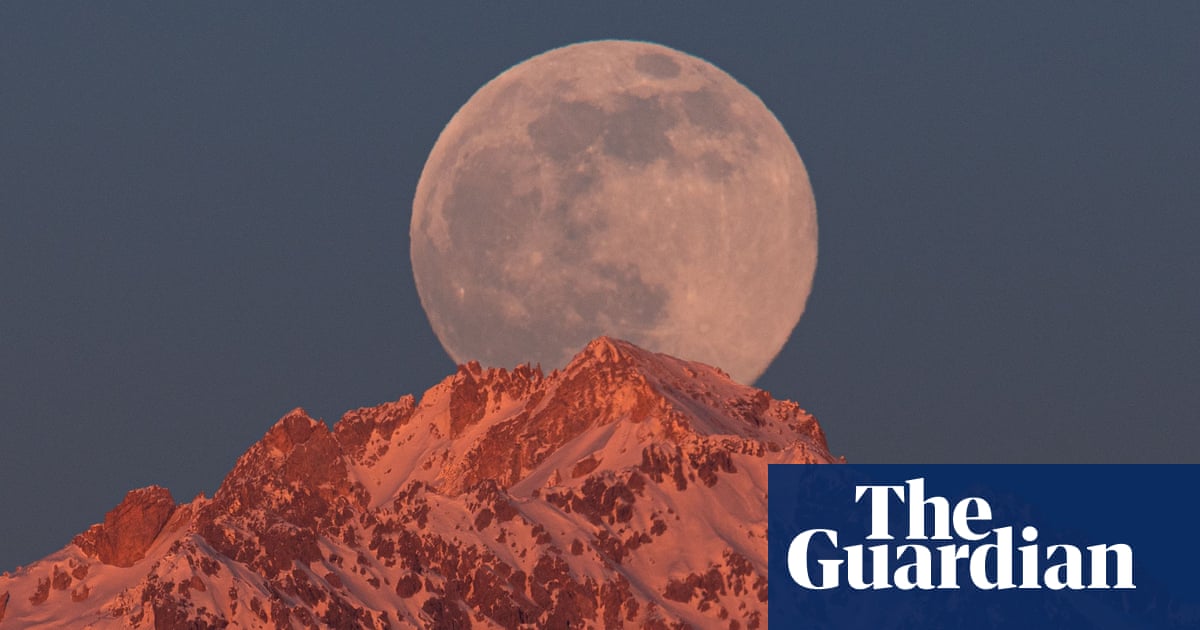 Wolf moon – in pictures