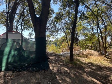 A tent on the Island, a secluded encampment in Sacramento.