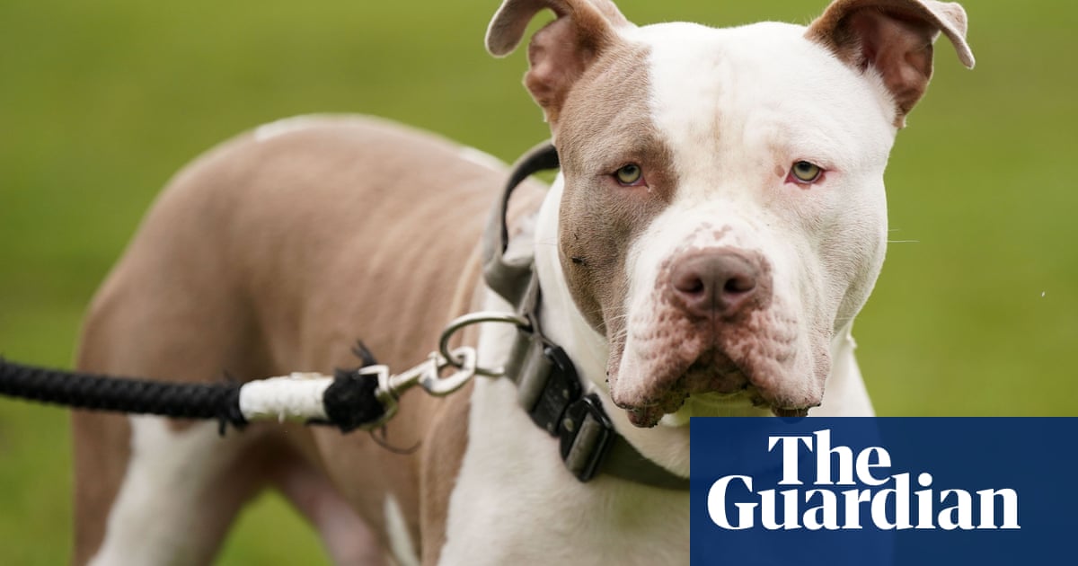 Лидерът на SNP ще възпроизведе нови ограничения в Англия и