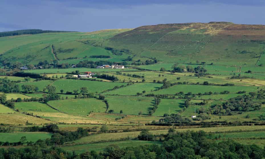 Farmland near Coleraine