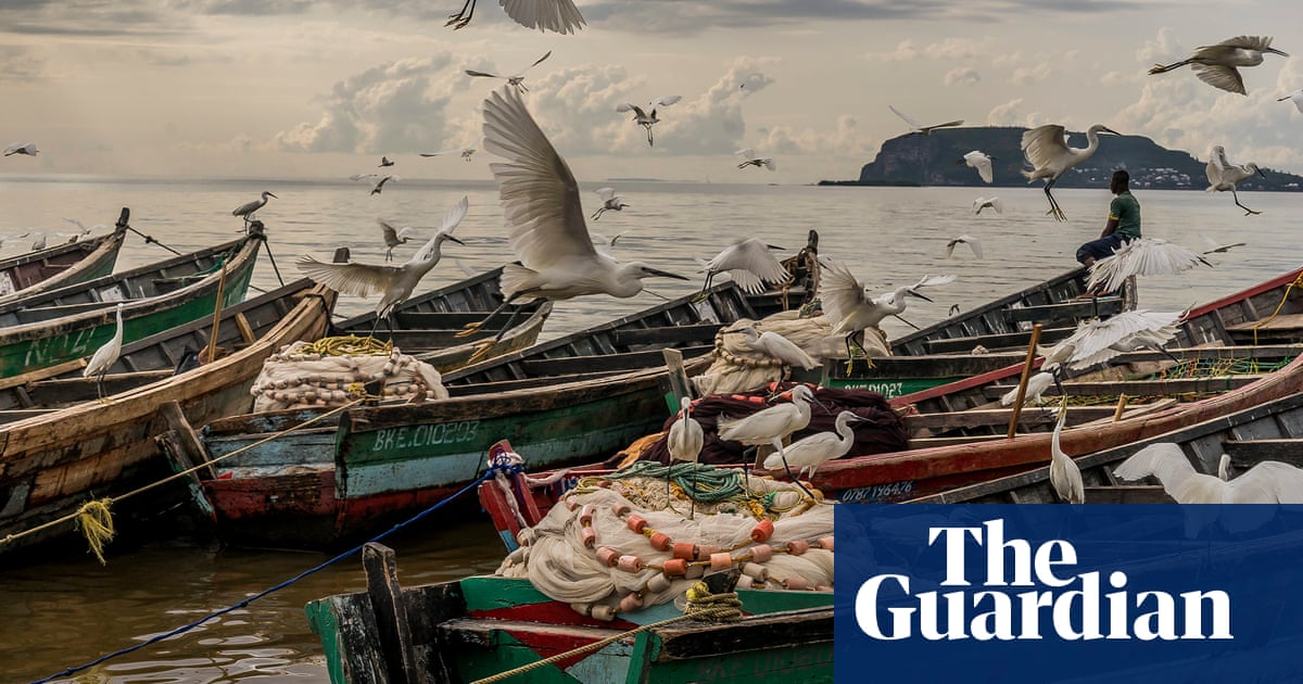 Lakes, jails and ice-skating bears: the worlds best photojournalism – in pictures
