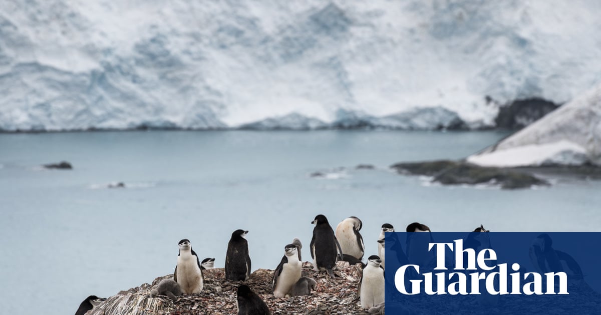Earth just had hottest January since records began, data shows