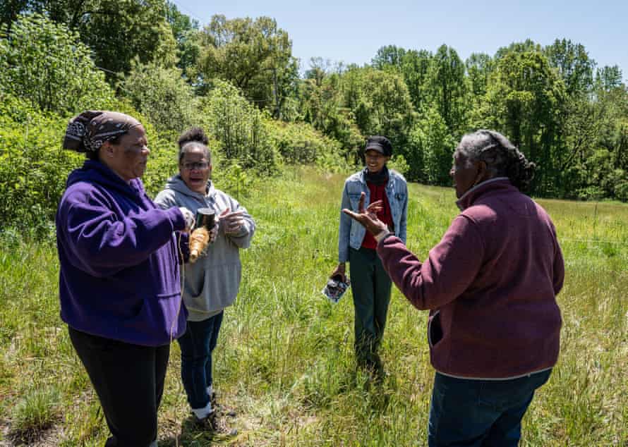 Four women are talking in a field