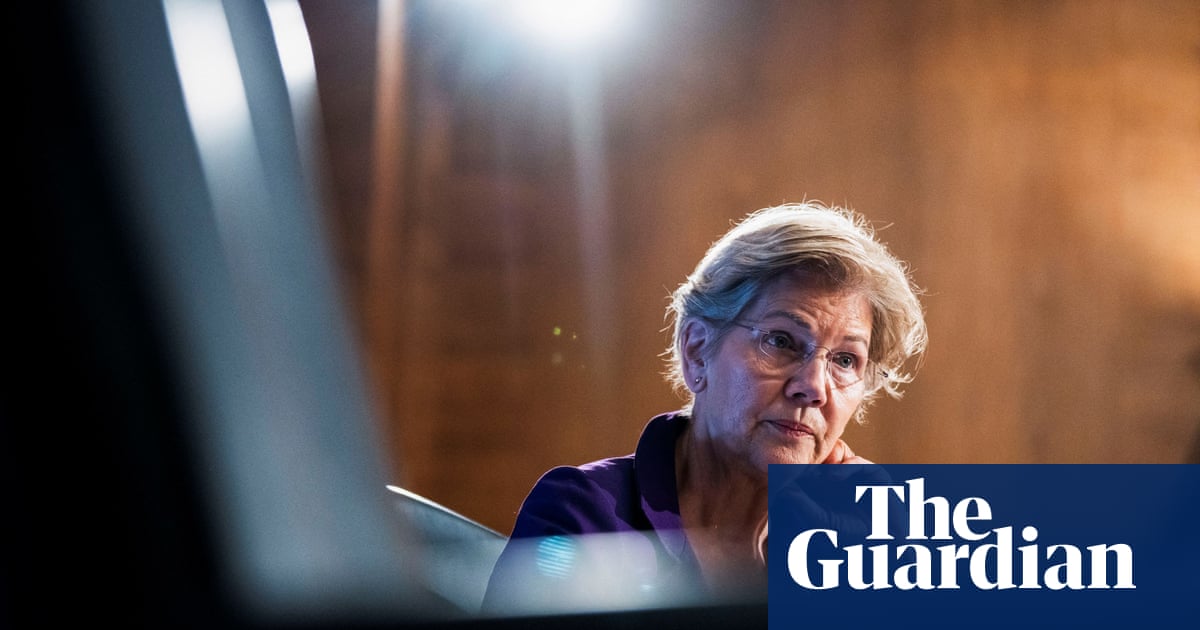 ‘Get up off our rear ends’ or lose badly in midterms, Elizabeth Warren warns Democrats