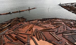 Colombian wood cutters float timbers from the Pacific rainforest in a sea bay close to Tumaco, Colombia.