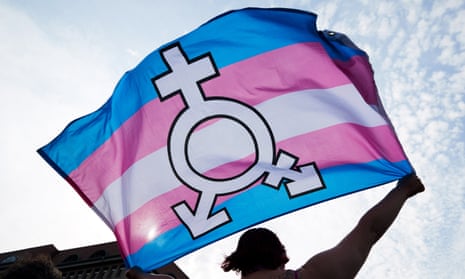 A person holds up a trans and gender diversity flag