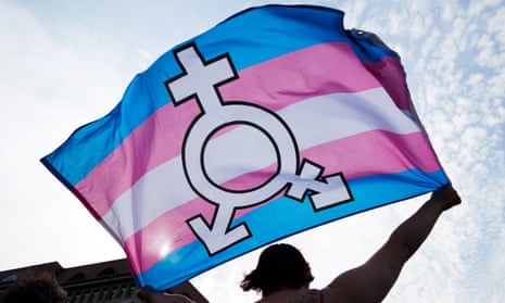 A person carrying a trans flag