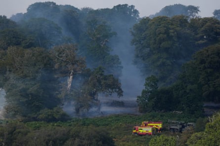 Fire engines parked near woodland shrouded in smoke.