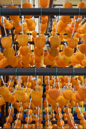 Persimmons drying at the Fukushima Mirai agricultural cooperative.