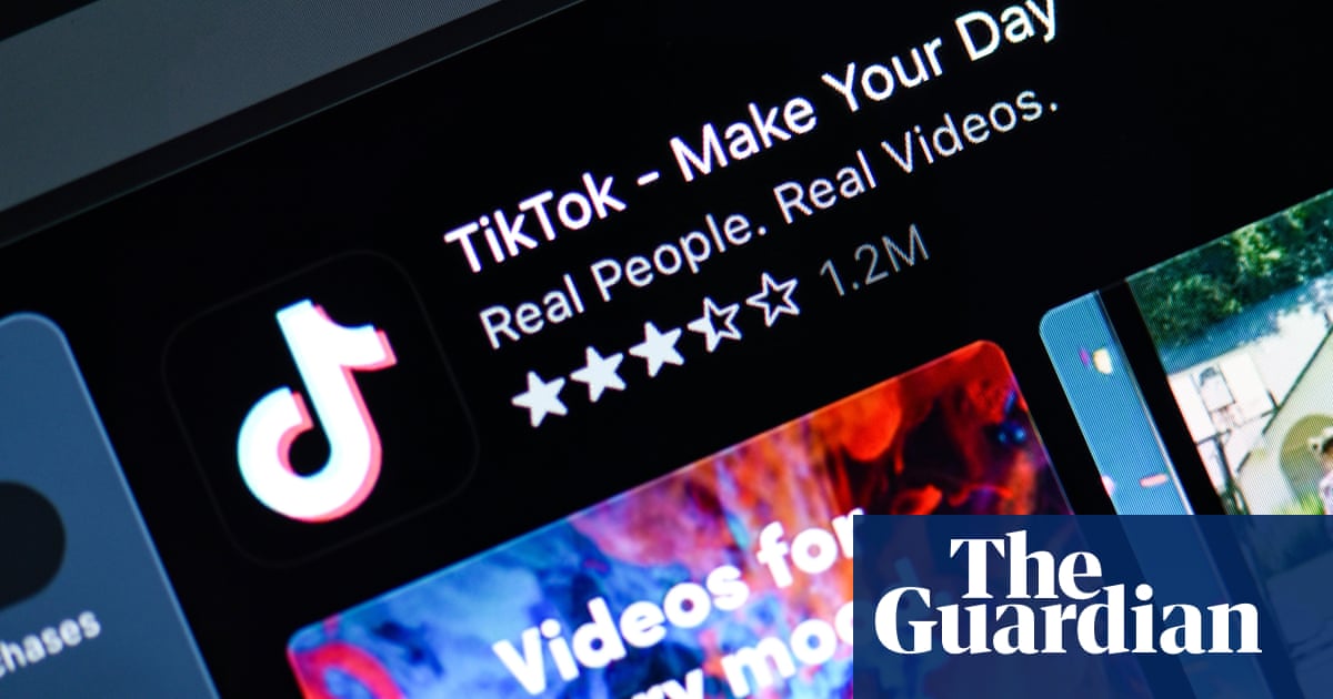 TikTok may be 'data collection service disguised as social media', Liberal senator says