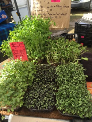 Fresh herbs for sale at Miami’s organic farmers market.