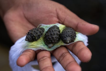 Three snails on a skein of yarn in the palm of a hand