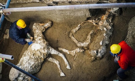 Experts work on remains of horse