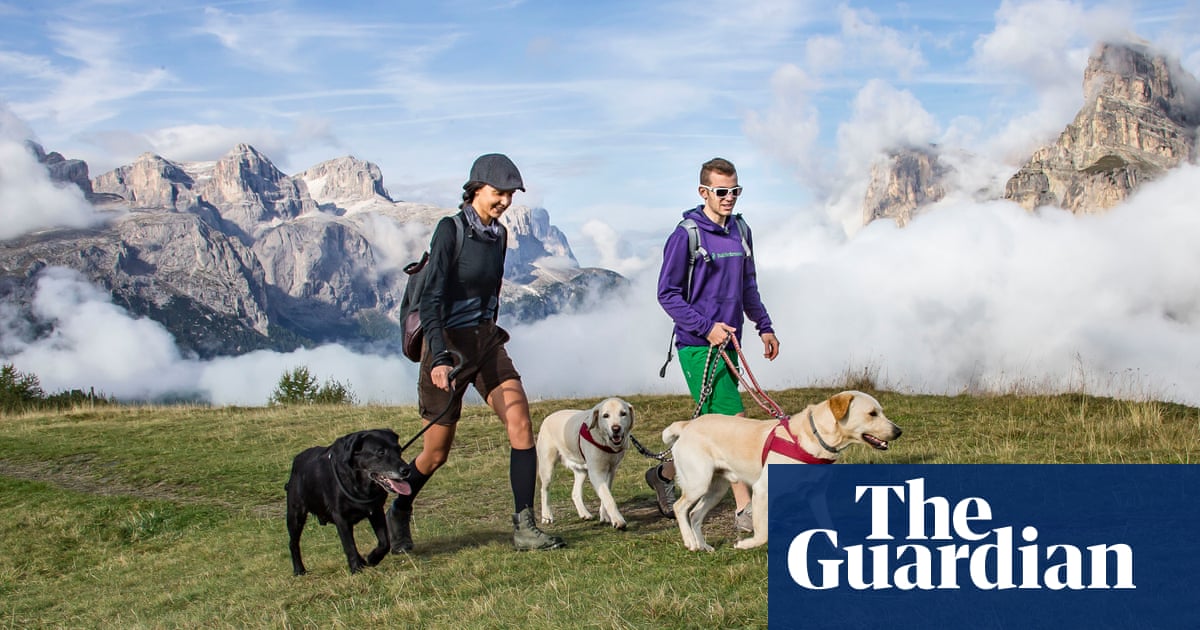 The ruff guide to Europe: 15 dog-friendly holidays