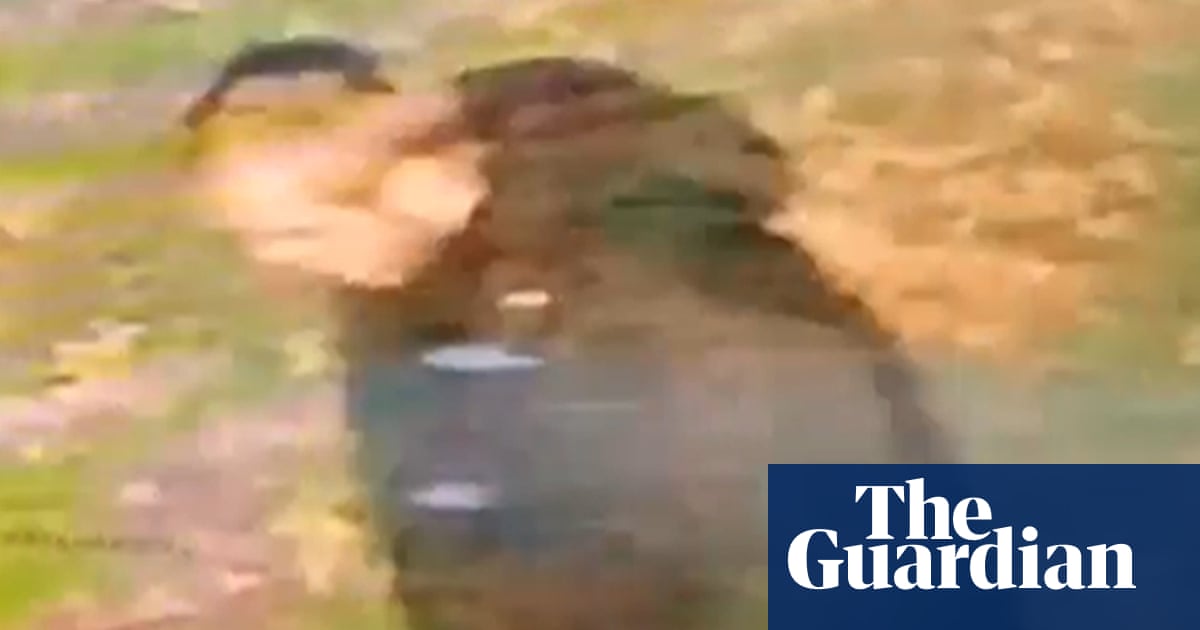 Urgent appeal to identify suspect of racially aggravated rape in Wallsall