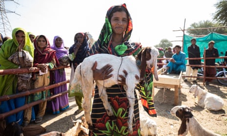 For the first time, I felt free': Pakistan's women-led livestock market |  Global development | The Guardian