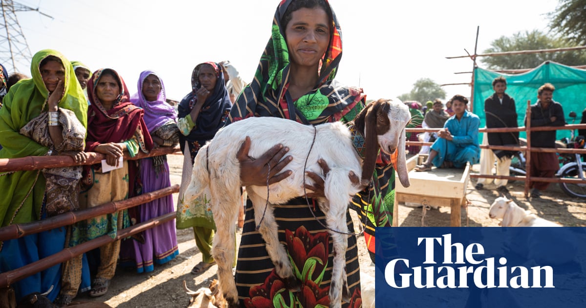 ‘For the first time, I felt free’: Pakistan’s women-led livestock market