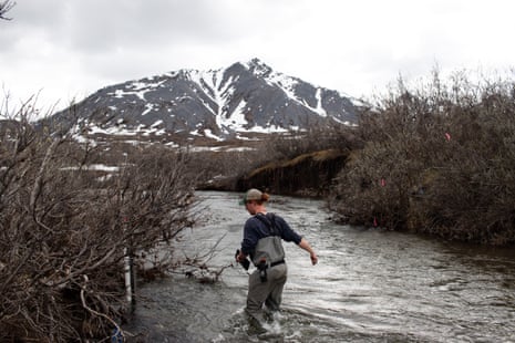 A man in waders in a river in Alaska, with a big mountain in front of him A man in waders in a river in Alaska, with a big mountain in front of him