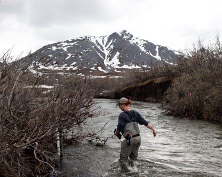 Galbraith Creek on Alaska’s North Slope