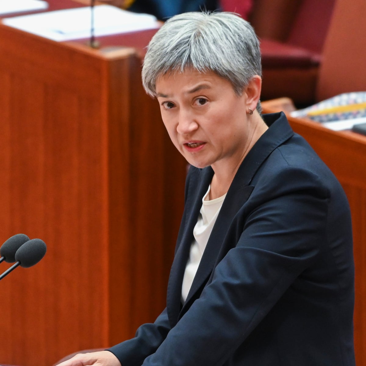 Penny Wong overruled department by sending observer to anti-nuclear treaty meeting | Nuclear weapons | The Guardian