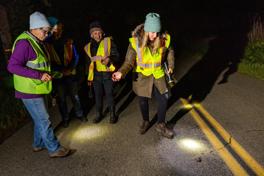 Four women crowd around a newt on the road at night