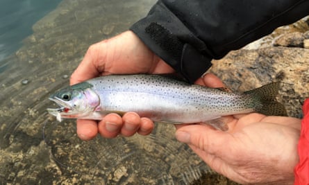 A cutthroat trout caught in Upper Redfish