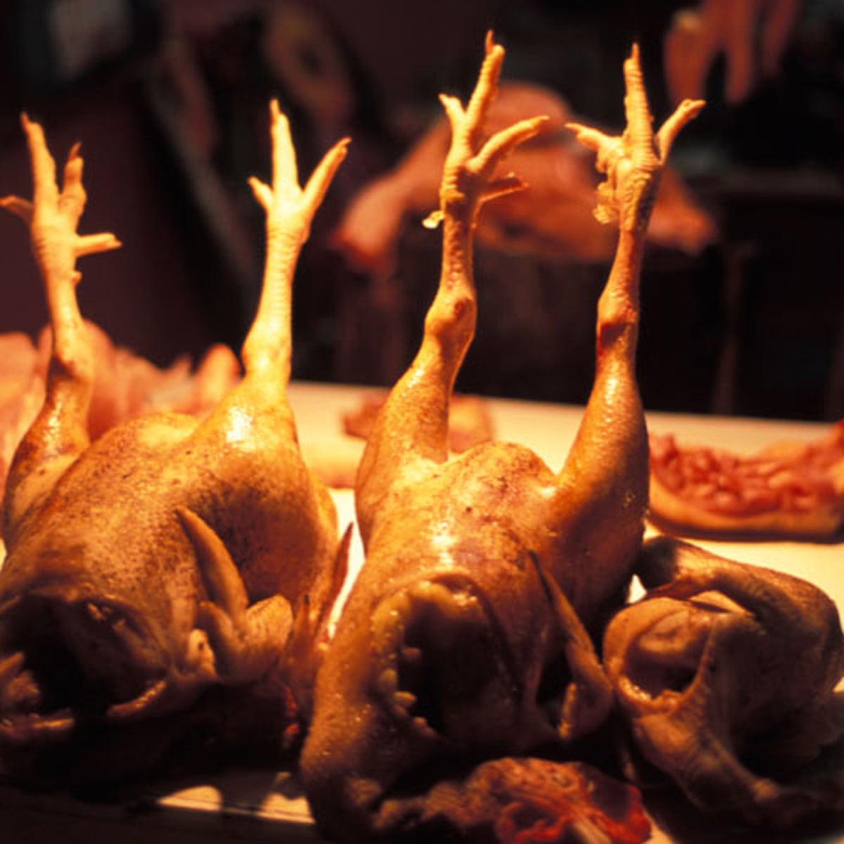 The Protein Problem Why Eating Too Much Chicken Might Not Help Your Diet Health Wellbeing The Guardian The Protein Problem Why Eating Too Much Chicken Might Not Help Your Diet Health Wellbeing The Guardian